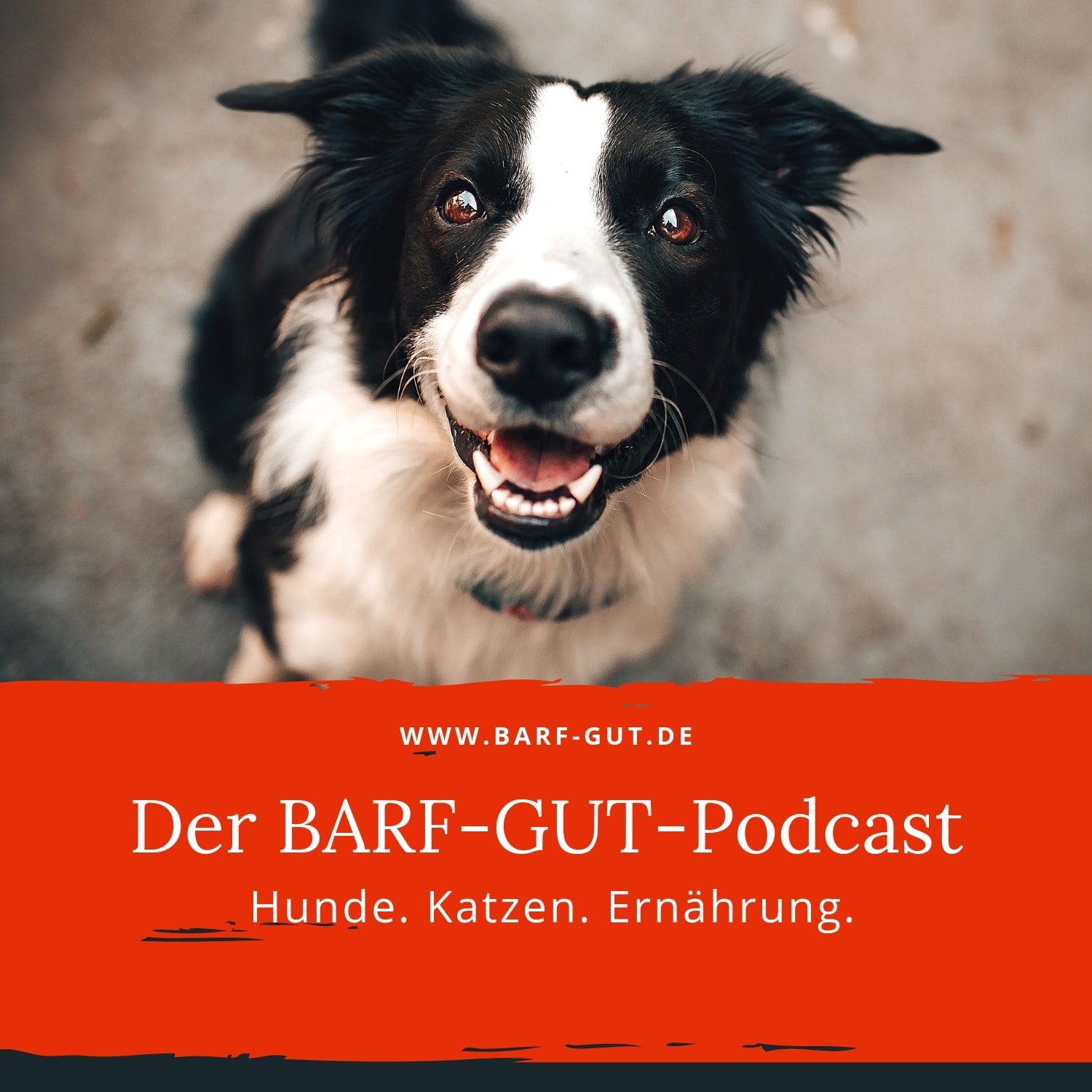 BARF-GUT - Der Podcast